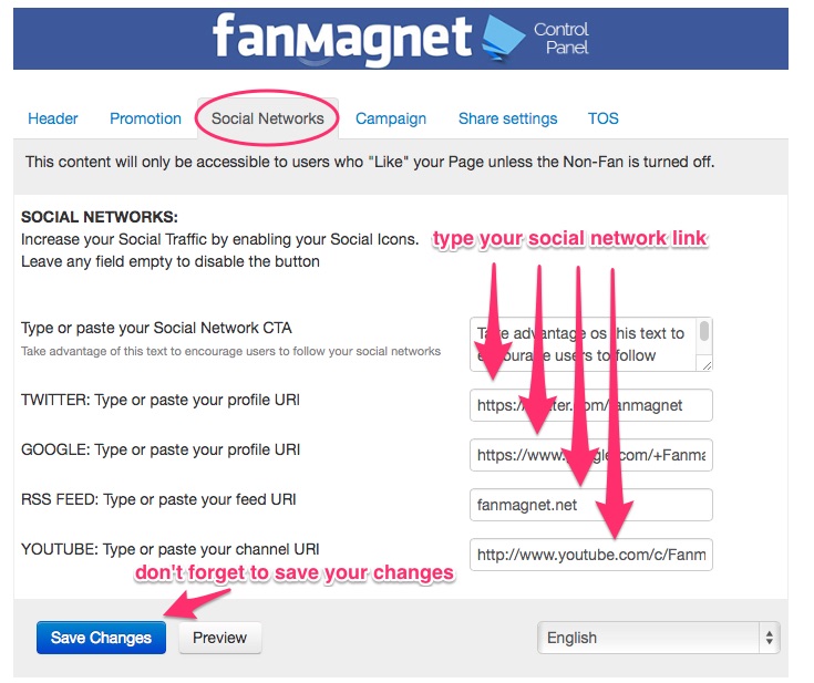 FanMagnet_tabs_socialnetworks_step2